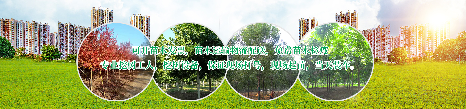 濟(jì)寧美源園林綠化工程有限公司